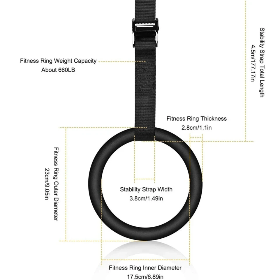 REP33  /  Olympic Gymnastic Rings